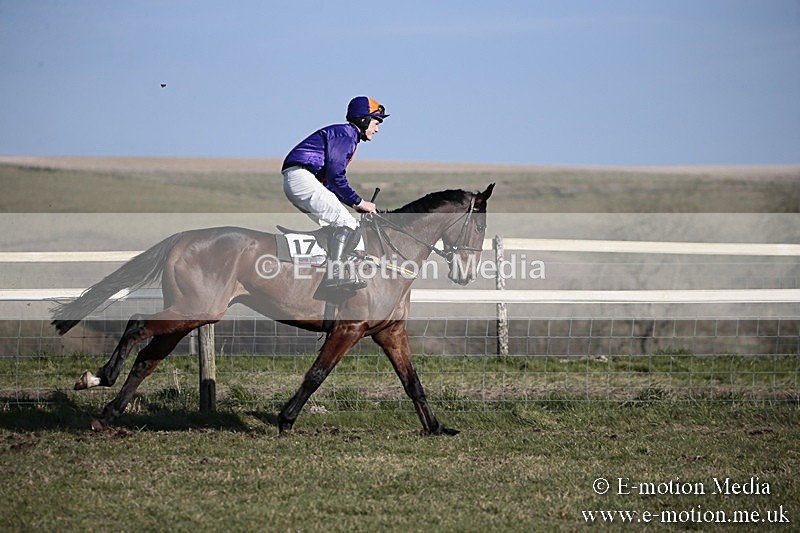 PtP 240218 343 - Vine & Craven Hunt Point-to-Point Barbury racecourse 24/02/18