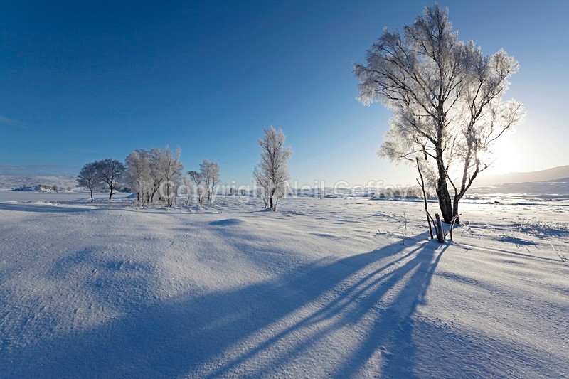 Rannoch Moor, Highland_1 - Landscape format