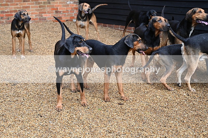 WJ7_6992 - Berks & Bucks at Blandy’s Farm 31-08-25