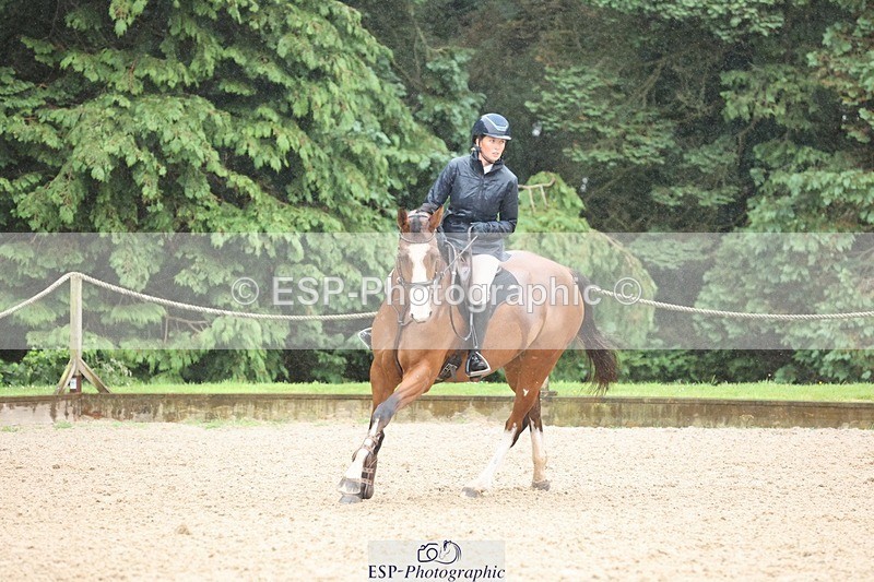 240705-162953-12496 - Cls 24 Foxhunter