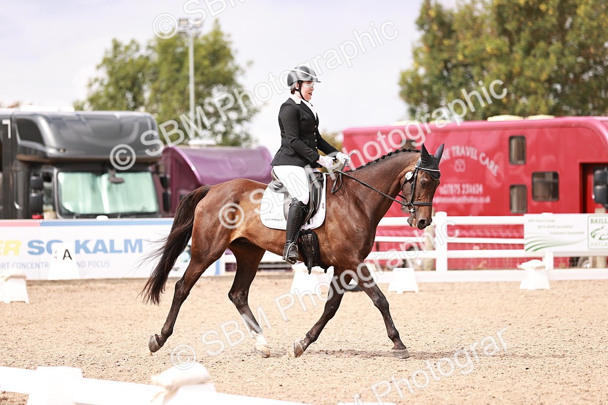 SBM_06273 - Class 37 - Novice 5