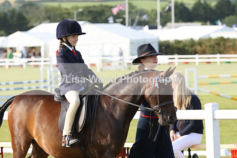 JPP_0145 - Class 14: Cornish Combination Leading Rein