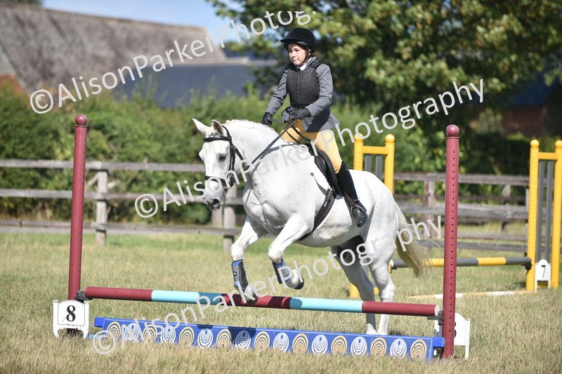 20260906-1681 - Class 9 - Absolute Novice Jumping 45cm