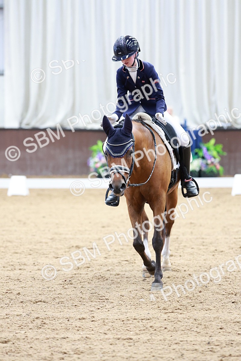 SBM_017290 - Class15 - FEI Pony
