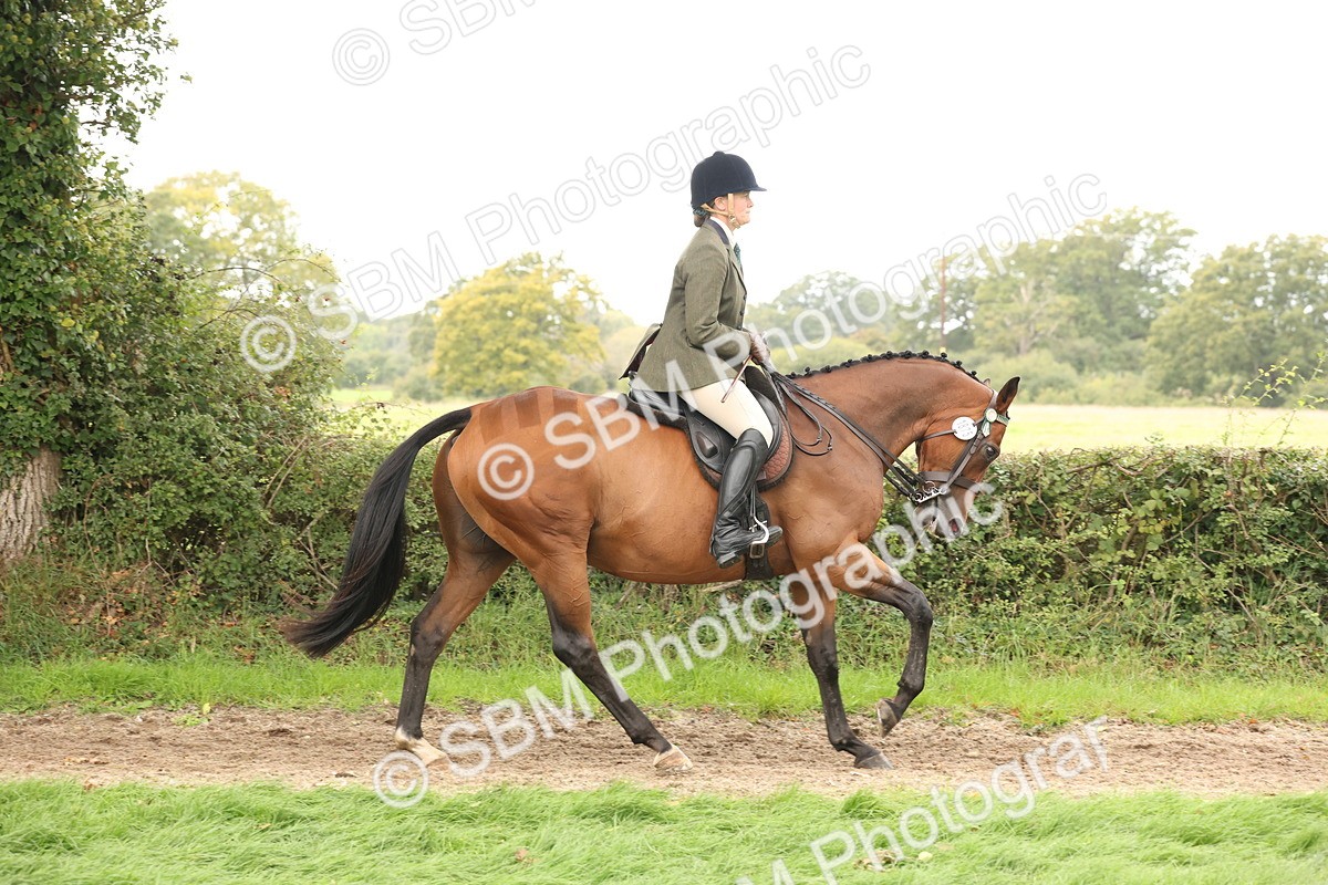 SBM_64198 - S65 - Riding Horse & Hack & Thoroughbred Ridden