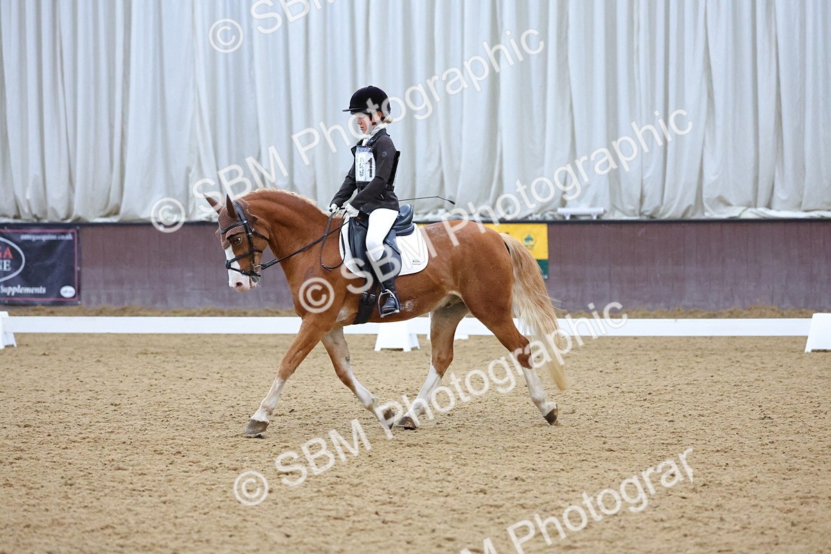 SBM_004207 - Intermediate