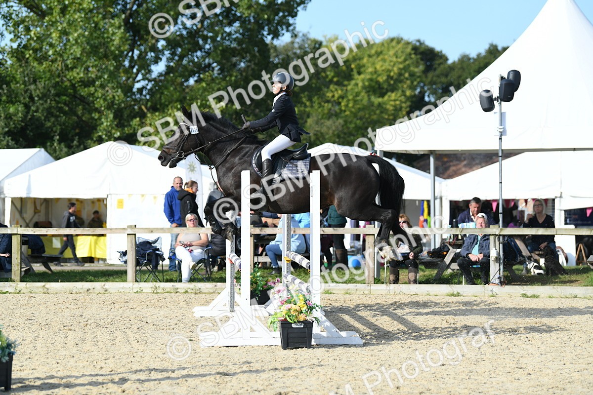 SBM_60541 - j25 - Junior Horse 80cm Championship