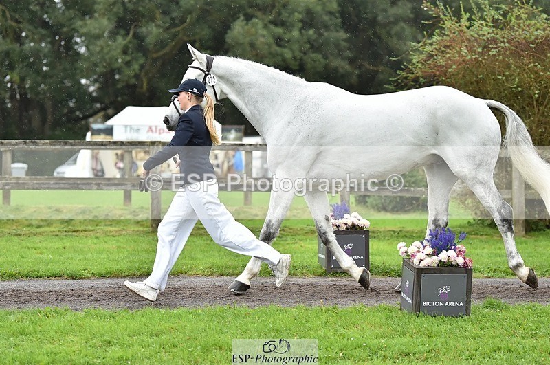 231018-125124-00572 - 072-CARROW.IROKO-Alice.England-TrotUp