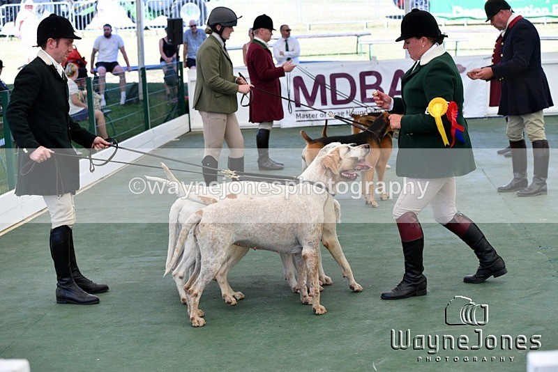 WJ5_1149 - Berks & Bucks at the Great Yorkshire Show 2025