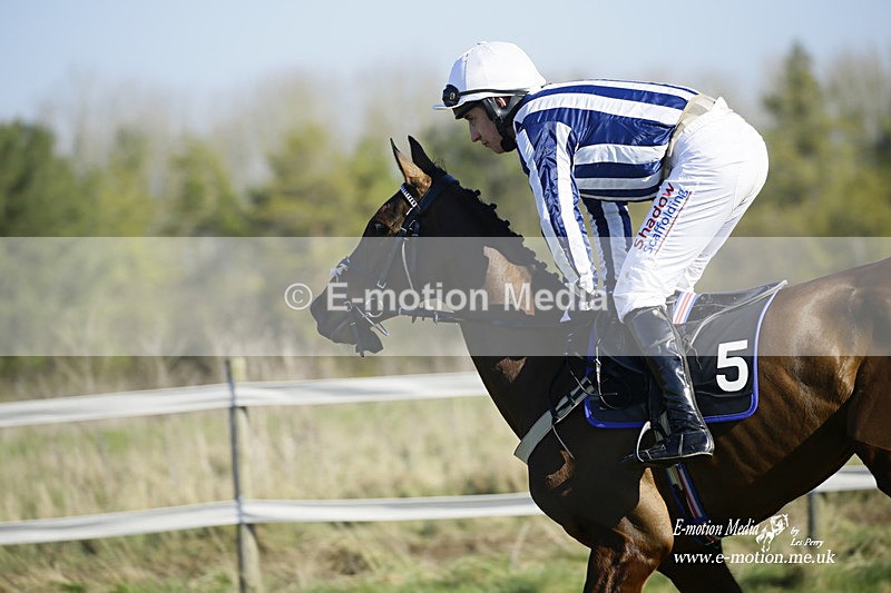 PtP 270222 18 - South & West Wilts Point-to-Point Larkhill 27/02/22