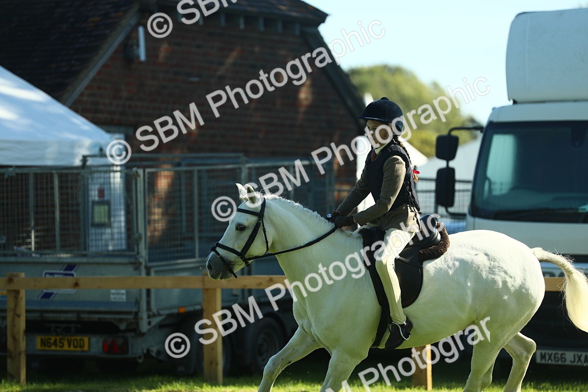 SBM_37513 - S29 - Novice & Newcomers Working Hunter Pony