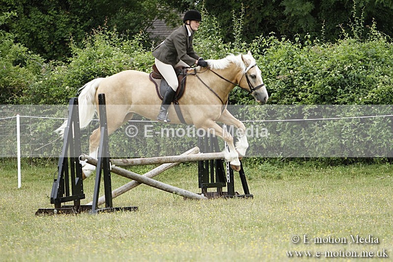 BVR160717-371 - Ring 3 BVRC Show 16/07/17