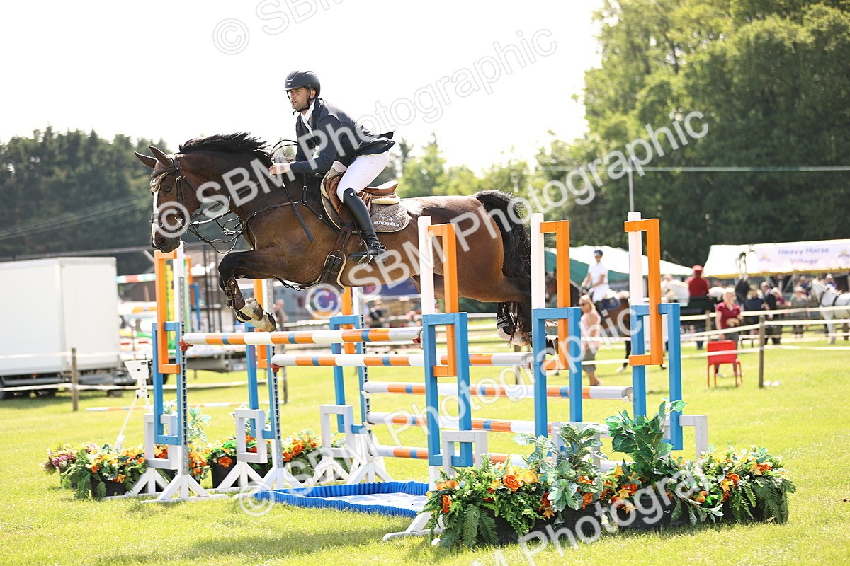 SBM_03014 - Class 201 - British Horse Feedds Speedi Beet HOYS Grade C