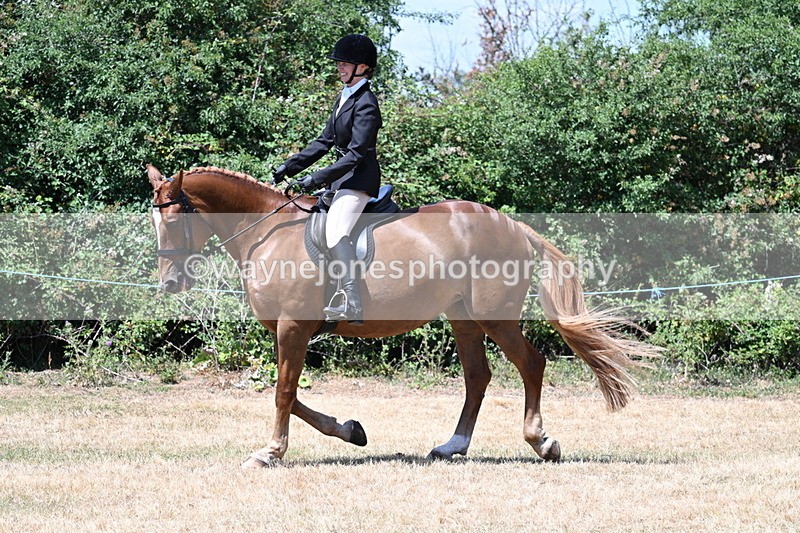 WJ7_2758 - Class 7 Riding Club Show Horse