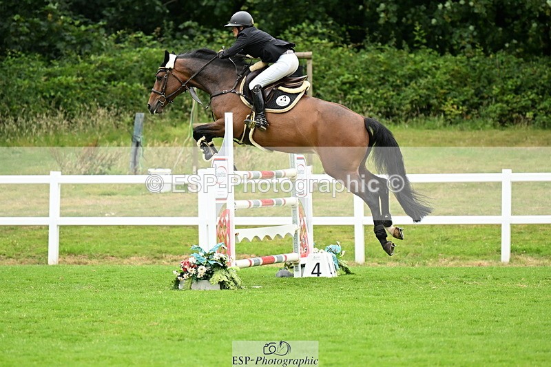 250705A-120717-14584 - Cls 30 Snr Foxhunter 2nd Round