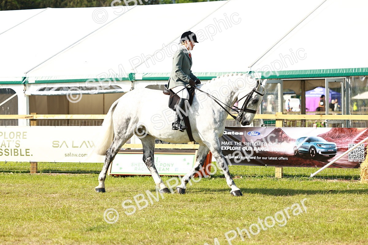 SBM_11749 - Class 66-69 - RIHS Ridden Hunters Inc Small Hunter