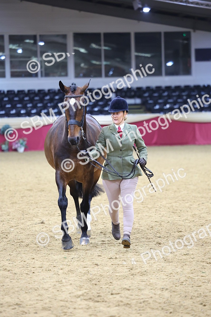 SBM_20847 - Class 902 - Supreme Final IH Veteran