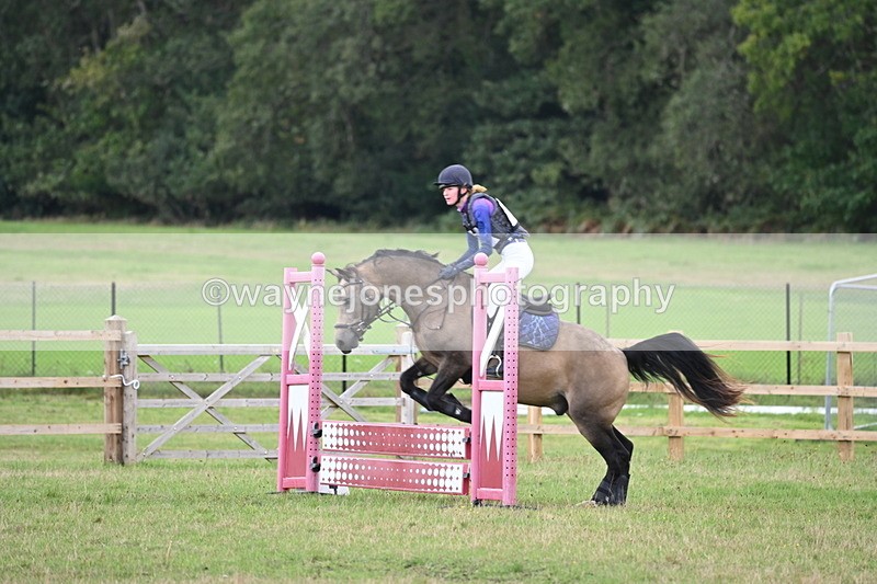 WJ6_1645 - 60cm Time 12:11 to 12:28