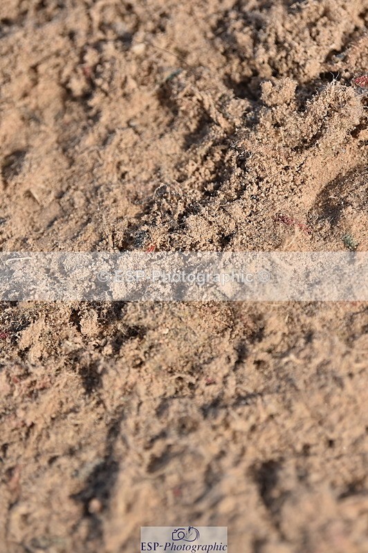 231015A-121128-07917 - Cls 24 85cm Amateur Q