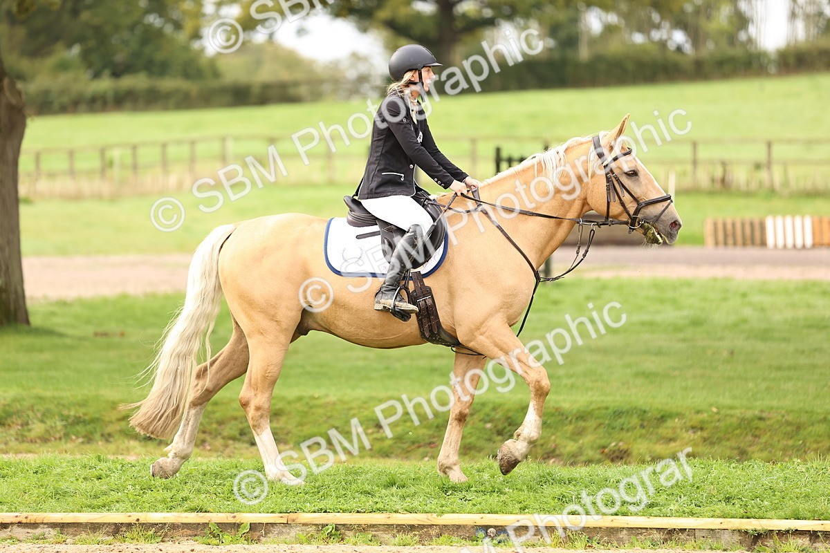 SBM_58490 - J41 - Grand Tour Horse & Pony 95cm
