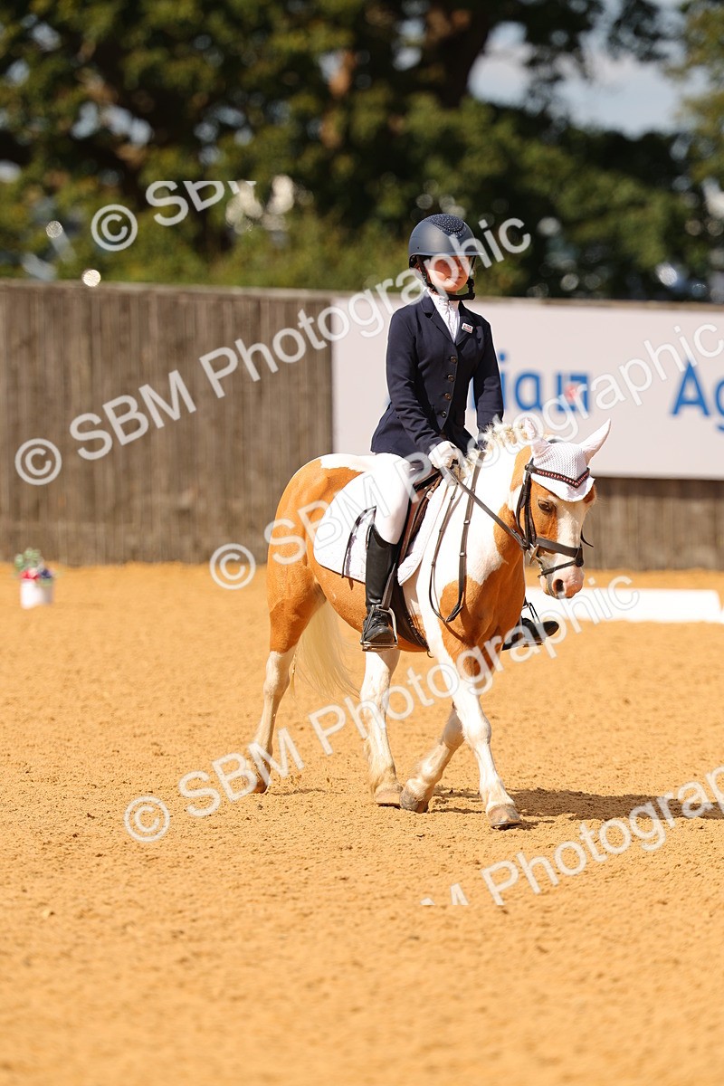 SBM_44108 - D22 - Junior Championship - Intro B