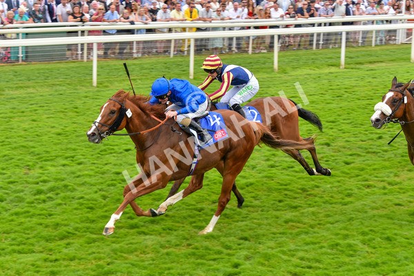 170623-Race 2-Wild Lion-7003 - Race 2 2.35pm Sky Bet Handicap