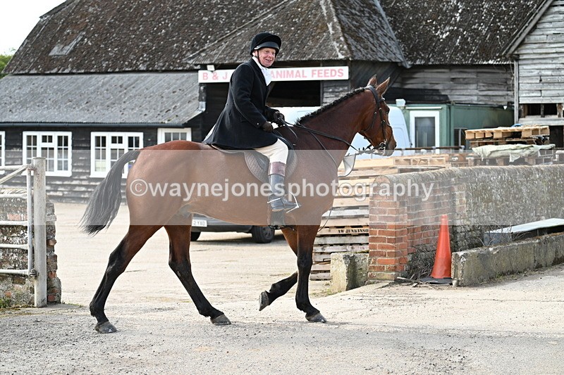 WJ7_9976 - Walk Home