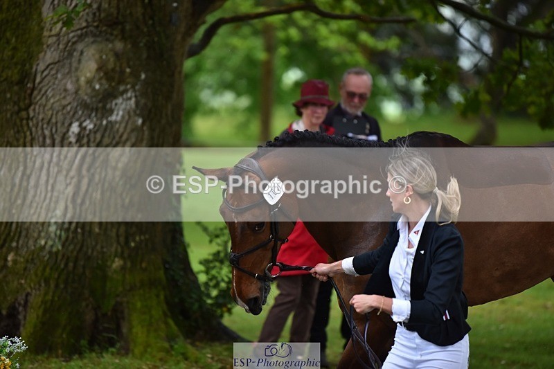 240522-155540-00589 - 105-ALS_RUSSIAN_ROLEX-Jemima_Howden