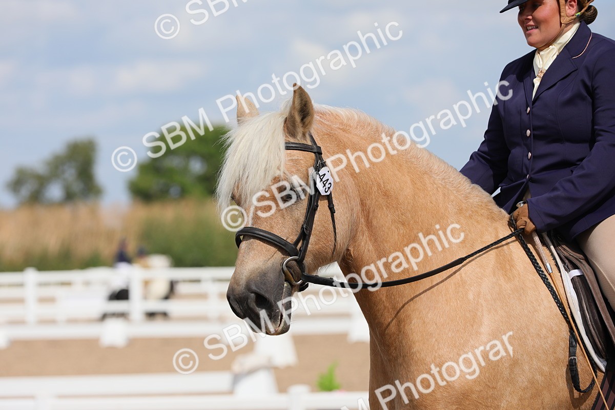 SBM_04032 - Class 31 Prelim 1