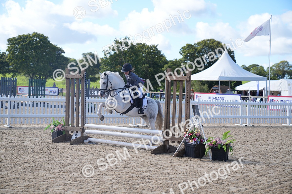 SBM_02462 - J54 Clear Round 45cm