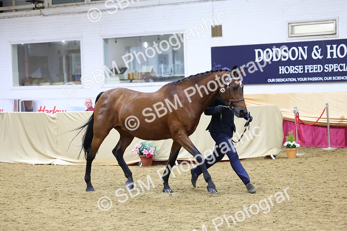 SBM_19709 - Class 901 - Supreme Final - IH Diamond