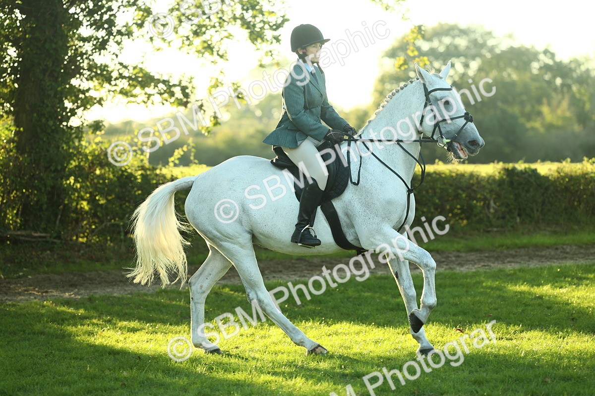 SBM_56411 - S14 - Riding Club Horse