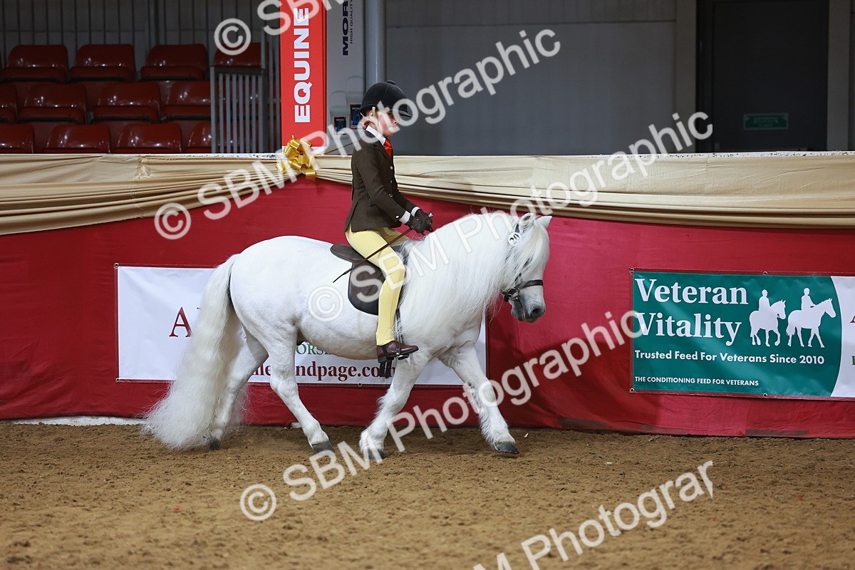 SBM_09381 - Class 102 - HOYS Veteran Qualifier - Ridden Veteran