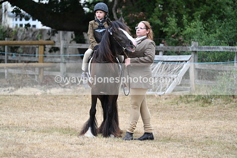 WJ7_8107 - Class 4 Prettiest Mare up to 14.2hh