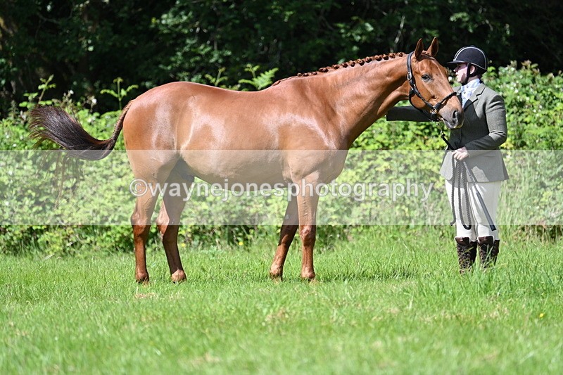 WJ7_1223 - Class 11 Condition & Turnout