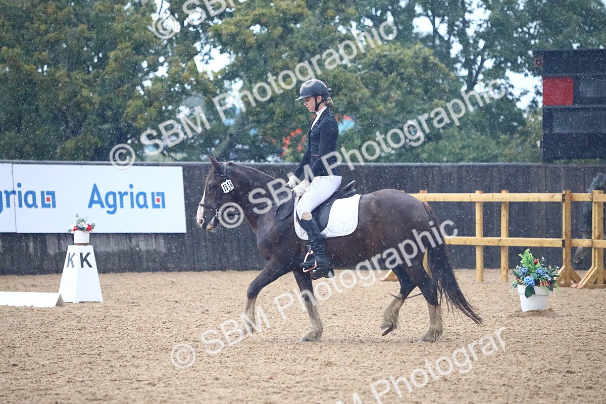 SBM_38846 - D21 - Junior Championship Intro 1