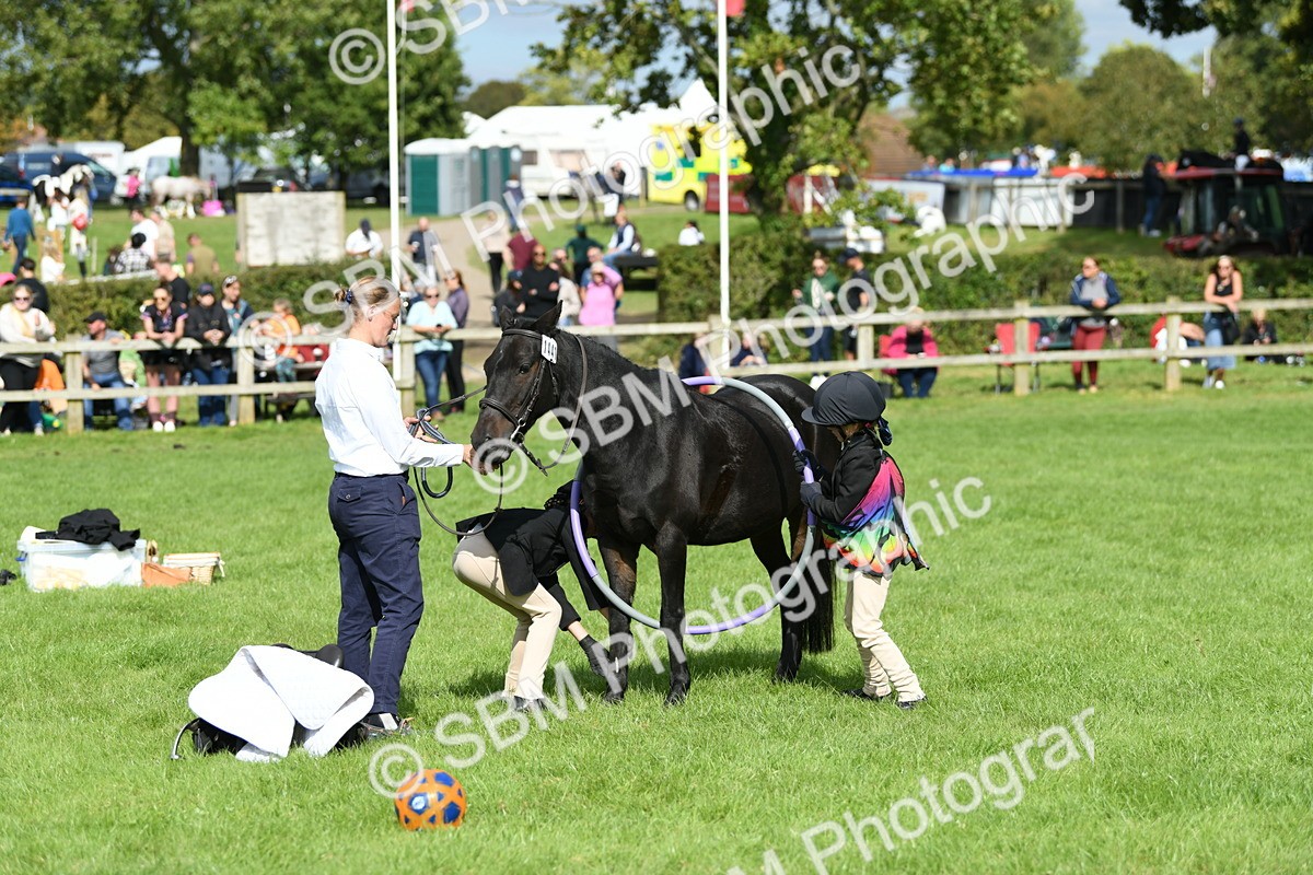 SBM_46965 - S12 - Family Horse & Pony