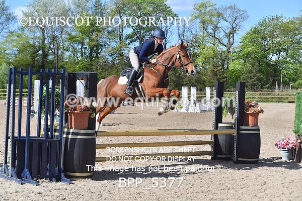 BPP_5377 - CLASS 22 SUN Club/ Unaffiliated 80cms Open