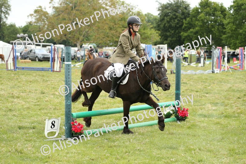 20250517-1024 - Class 21 - Novice Working Hunter