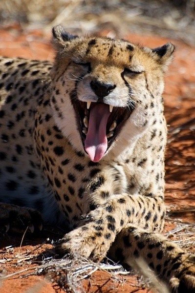  - Namibia