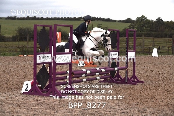 BPP_8277 - CLASS 1 Club/ Unaffiliated 60cms Open