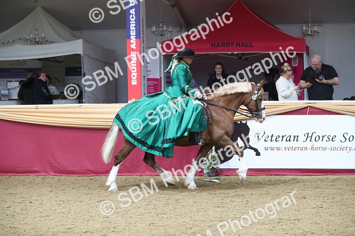 SBM_12232 - Class 107 Ridden Costume- Astride Adult (20+)