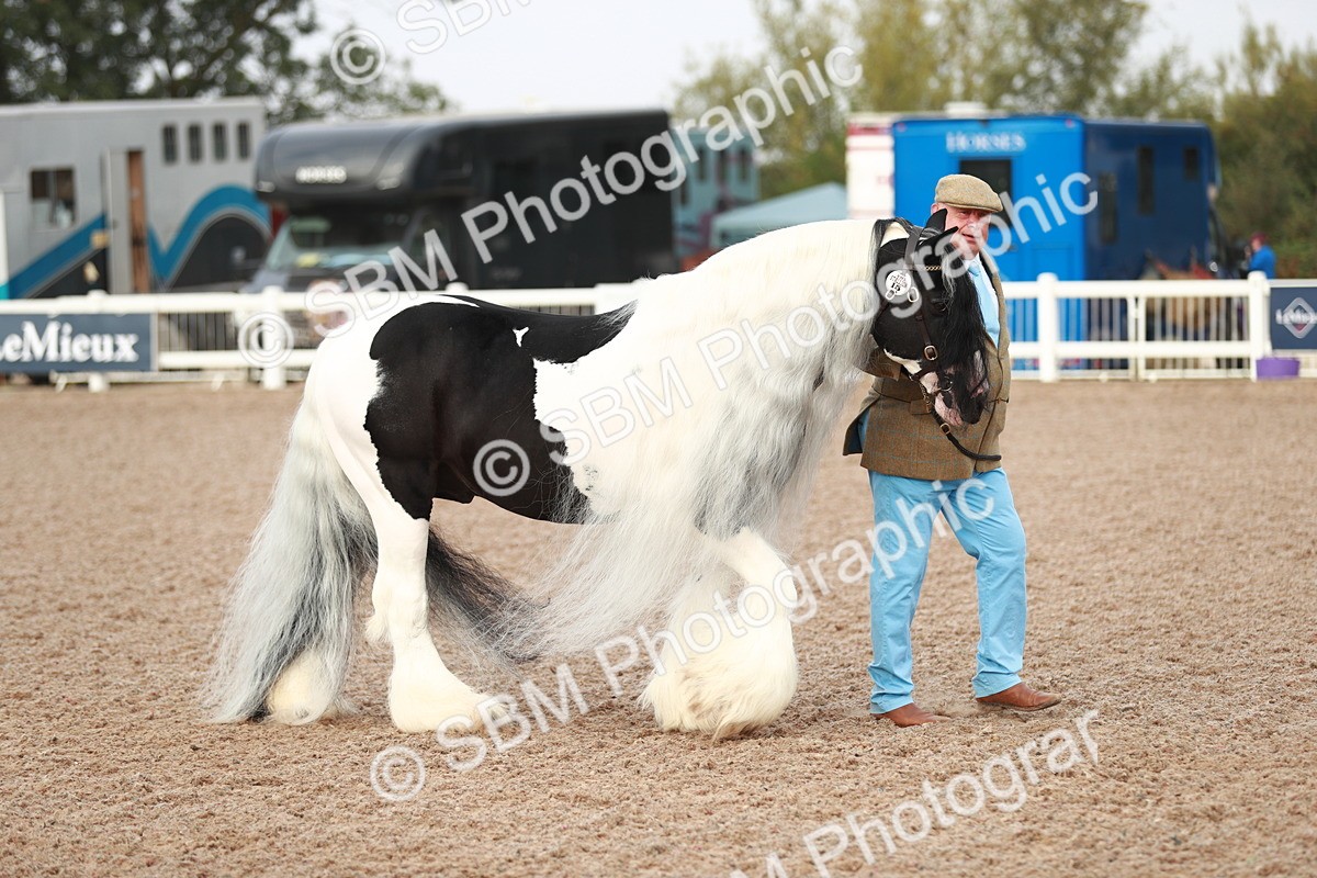 SBM_09485 - Class 201 Best Turned Out IH