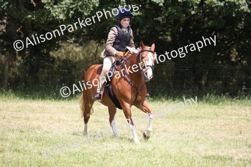 20260614-2186 - Class 21 - Novice Working Hunter Pony