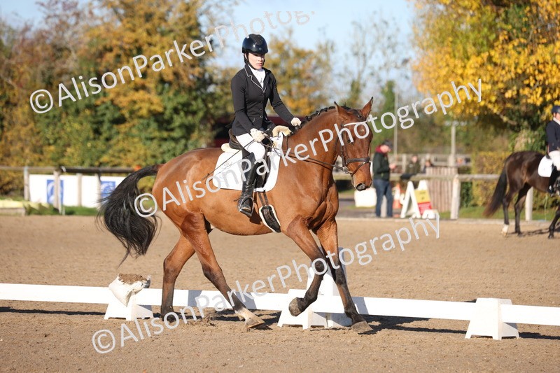 20251102-0365 - Class 2 - Prelim 6