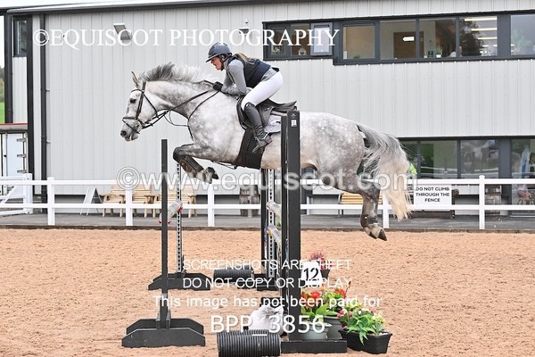 BPP_3856 - CLASS 16 SUN Senior Newcomers/1.10m Open