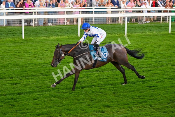 260724-Race 4-Dicko The Legend-5239 - Race 4 7.15pm Tomahawk Restaurants Handicap