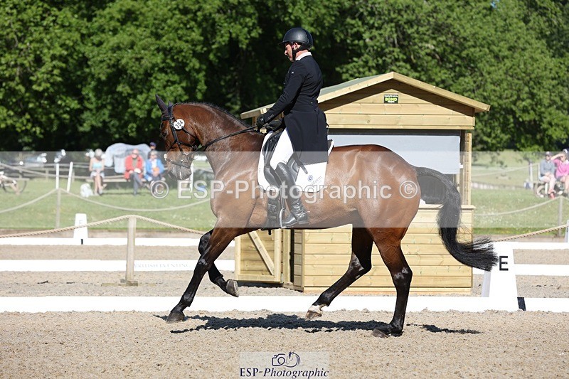 230526-092428-05061 - 354-TREWORDER-Michael_Owen-WEDTrotUp+DR