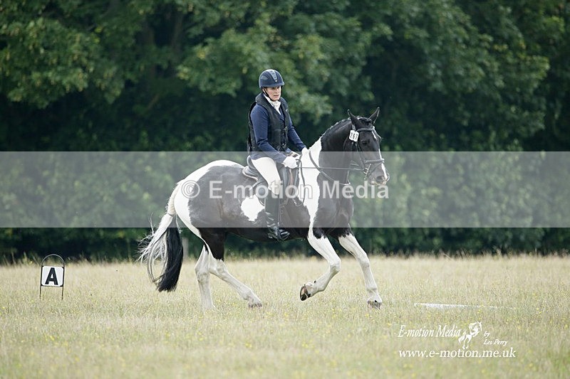 BVRC 030721 443 - Bourne Valley Riding Club Dressage 03/07/21