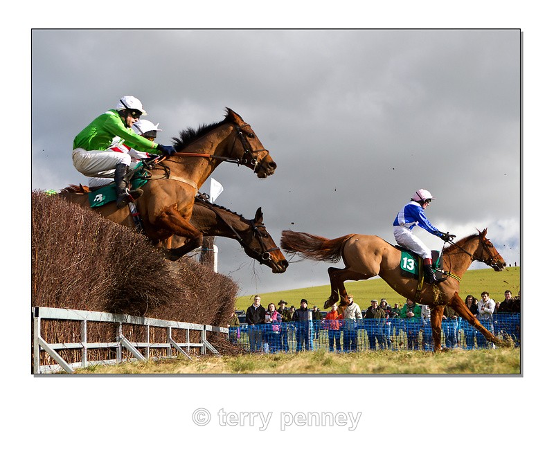 Point to Point 2012 1 - Equestrian Sport